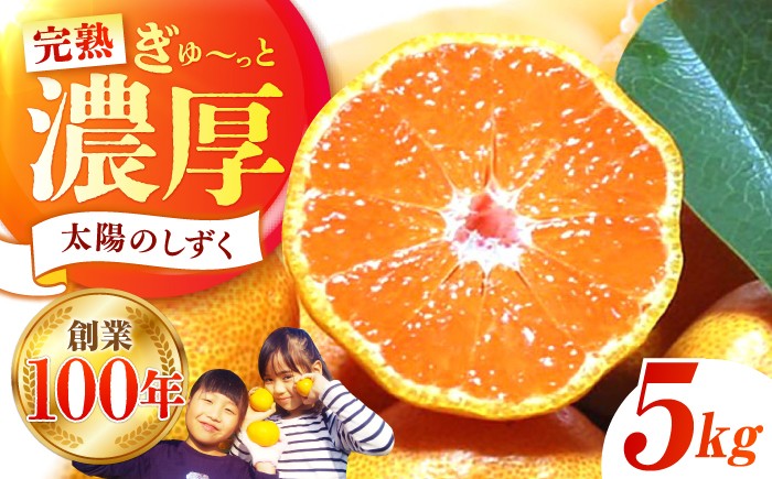 
                  ＜先行予約＞【11月〜12月発送】タッチの甘熟 早生みかん 太陽のしずく 5kg【夢の甘熟みかん タッチ】[HCE001] / フルーツ みかん 佐賀みかん 果物 温州みかん ミカン 佐賀 佐賀県産 年内発送
                