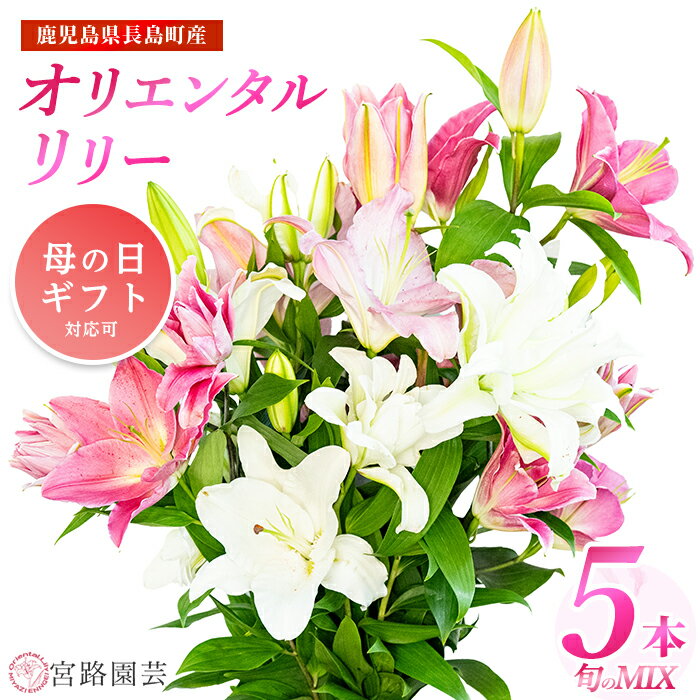 ＼母の日に最適／ 4/30決済完了で5/10までにお届け！【ふるさと納税】高評価★4.71 「 オリエンタルリリー ( ユリ )」旬のミックス(5本) ふるさと納税 花 花束 鹿児島県産 国産 九州 長島町 百合 植物 フラワー 観賞用 ギフト 贈答 記念日 【宮路園芸】miyaji-7004