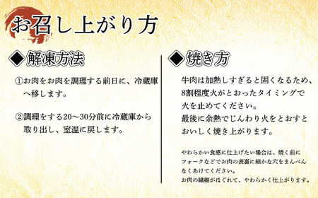 宮崎牛赤身ステーキ(400g) 内閣総理大臣賞4大会連続受賞のブランド牛 [黒毛和牛 国産牛 牛肉 お肉] 特番558