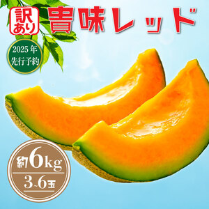  訳あり 先行予約 タカミ メロン 約 6kg メロン メロン メロン メロン メロン メロン