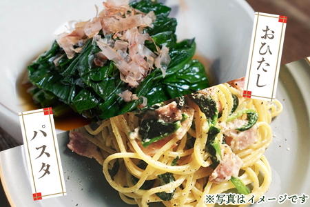 ＜【訳あり】冷凍野菜詰め合わせ（ホウレンソウ150g×5袋・千切りゴボウ100g×6袋）工場直送簡易包装 小分けパック11袋＞宮崎県産【MI199-bk】【ベーカリー梅茂登】