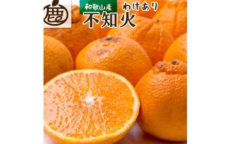 ＜先行予約＞家庭用 不知火 4kg+150g（傷み補償分）【デコポンと同品種・人気の春みかん】【わけあり・訳あり】＜2月より発送＞ ※北海道・沖縄・離島への配送不可【ikd163A】