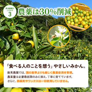 【先行予約】和歌山県産 ゆら早生みかん 約9kg  ※2025年10月中旬頃より順次発送予定 / 和歌山県 柑橘 みかん 甘い 蜜柑 フルーツ 果物 くだもの 食品 人気  晩柑 おすすめ 送料無料 