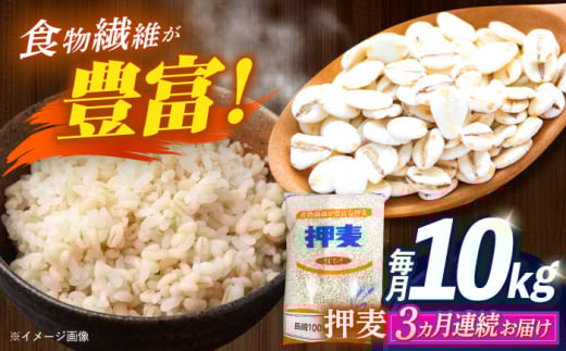 【全3回定期便】 押麦「長崎100年麦 御島裸」1kg×10袋 計10kg / 麦 むぎ 押麦 はだか麦 麦味噌 雑穀 雑穀米 食物繊維 小分け 長崎県産 米 こめ コメ ※ / 諫早市 / 有限会社伊東精麦 [AHBU010]