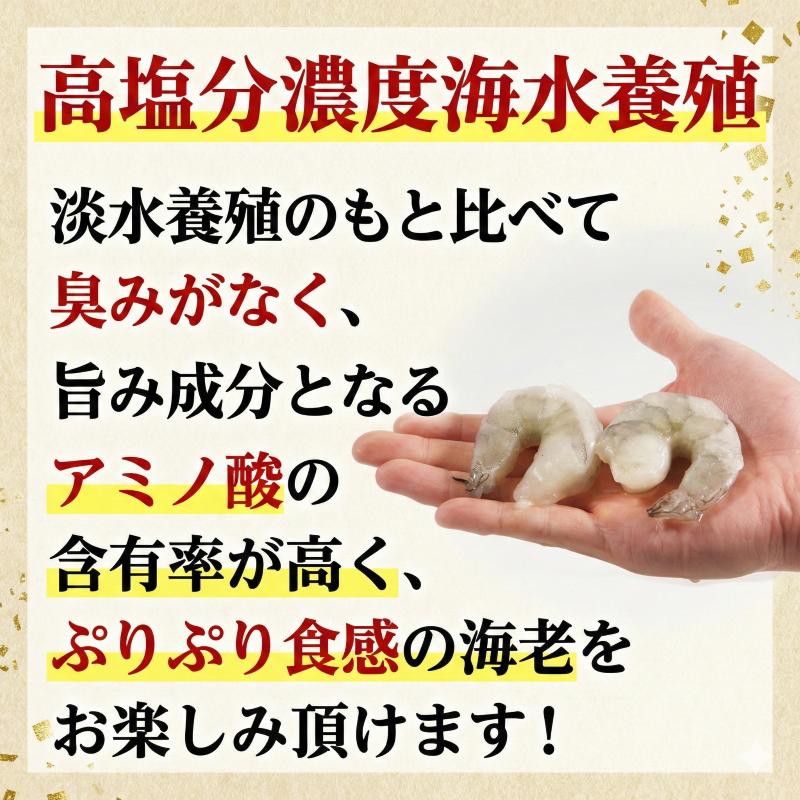 エビ  1.2kg 冷凍 むきえび 海老 バナメイ 特大 超特大 下処理済 高級 時短【北海道･沖縄･離島への配送不可】