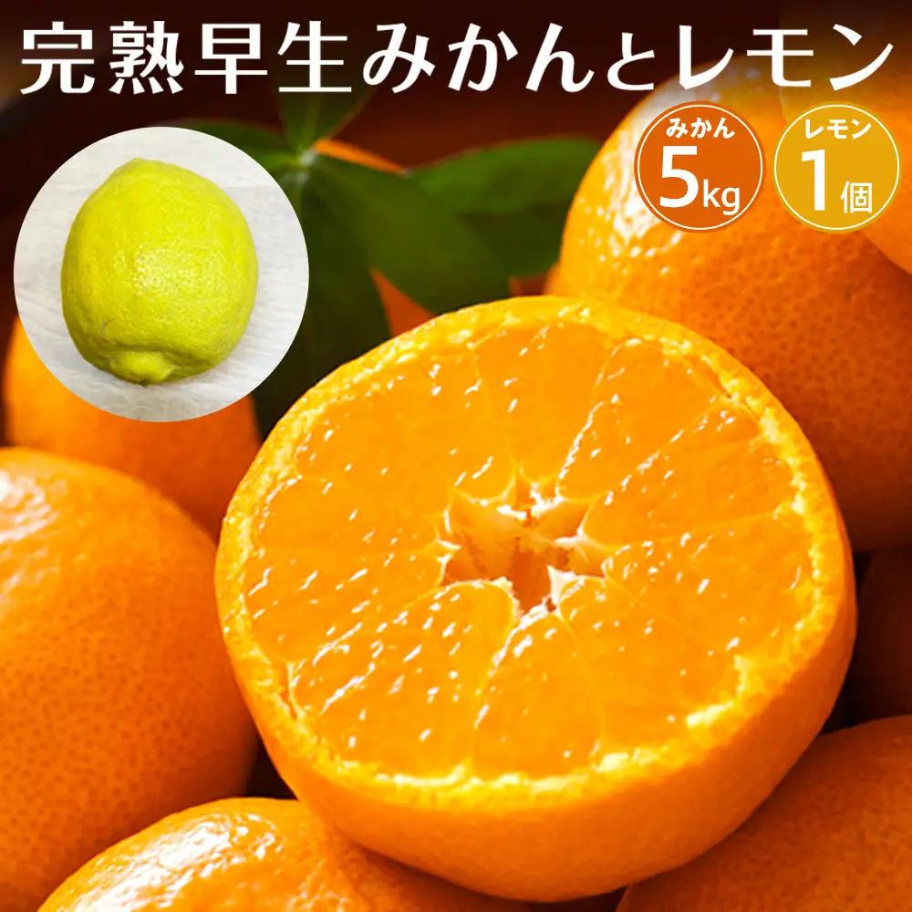 【先行予約】完熟早生みかん５ｋｇと璃の香（レモン）１個【2026年12月下旬以降発送】| 湯河原町 みかん レモン 果物セット フルーツ ギフト 果物