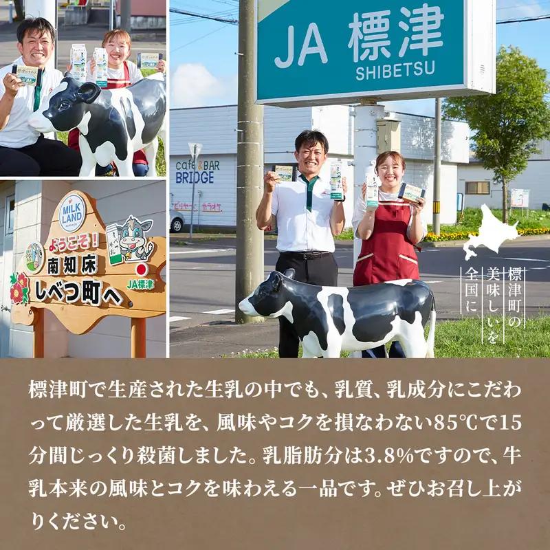 【毎月2本】【6ヶ月定期便】 しべつ牛乳 1L×2本 北海道 パックミルク 牛乳【AE027】