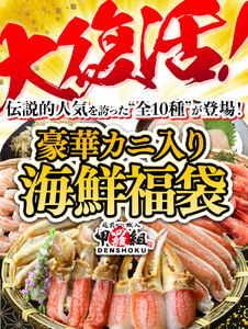 敦賀の豪華 海鮮福袋 10種 [024-e301] 【生ズワイポーション むきえび ホタテ 甘エビ とろろ昆布 詰め合わせ セット 海鮮 魚介 魚 カニ かに えび エビ ほたて 帆立 甘えび 冷凍 