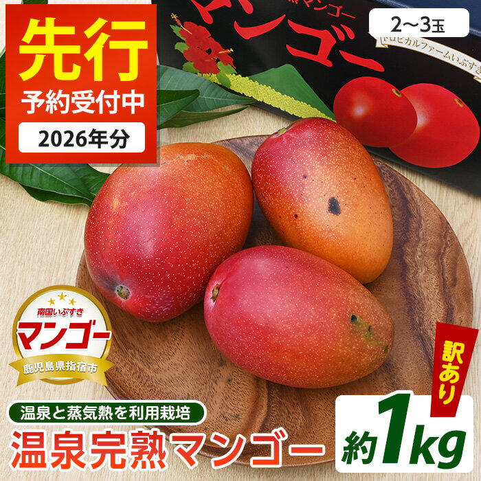 【ふるさと納税】＜先行予約受付中！2026年7月上旬以降順次発送＞【訳あり】温泉完熟マンゴー(約1kg・2〜3玉) 果物 フルーツ 完熟 スムージー ジュース 夏 旬 南国 家庭用 自宅用 鹿児島 いぶすき【トロピカルファームいぶすき】