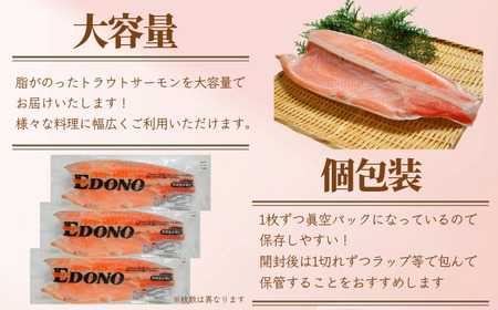 【 スピード配送 】 トラウトサーモン 8kg 真空パック入り サーモン