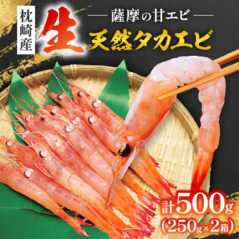 【ふるさと納税】【薩摩の甘エビ】天然タカエビ500g　A1-10_ 甘エビ 海老 あまえび 天然 海鮮 甘海老【配送不可地域：離島】【1524580】