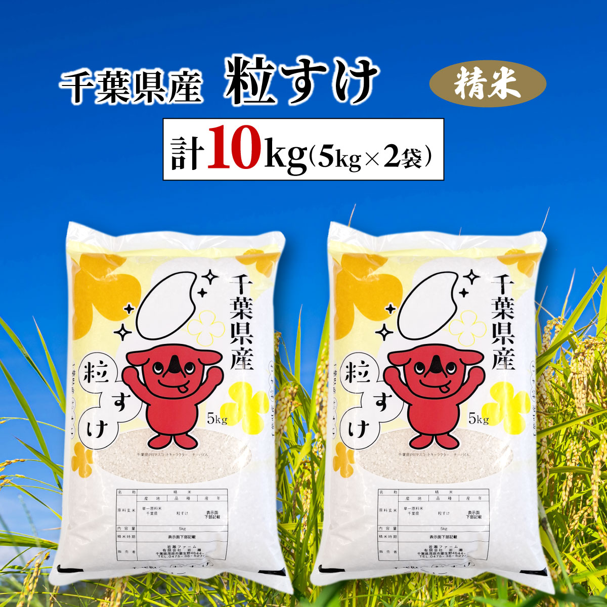 【ふるさと納税】令和6年産 千葉県産粒すけ 精米 10kg(5kg×2袋) ふるさと納税 粒すけ 米 精米 こめ 千葉県 茂原市 MBAD007