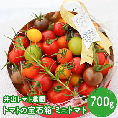 【ふるさと納税】【井出トマト農園】トマトの宝石箱　野菜・ミニトマト