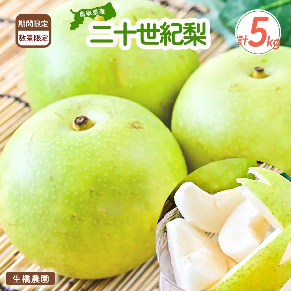 二十世紀梨 【鳥取県産】５kg（生橋農園） 梨 果物 フルーツ