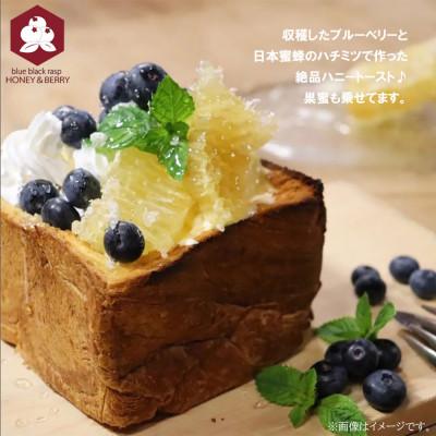 ふるさと納税 新居浜市 日本蜜蜂 100% 純粋 はちみつ 非加熱 240g×2本 国産 |  | 03