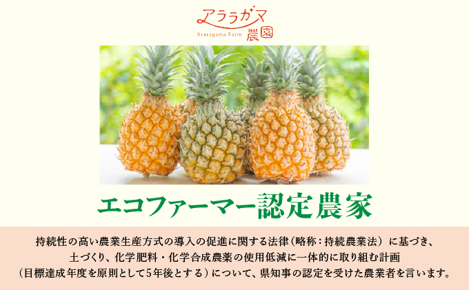 水なし、加熱なし、砂糖なし！天然まるごと！完熟生パイナップル冷凍ピューレ200ml×9本セット