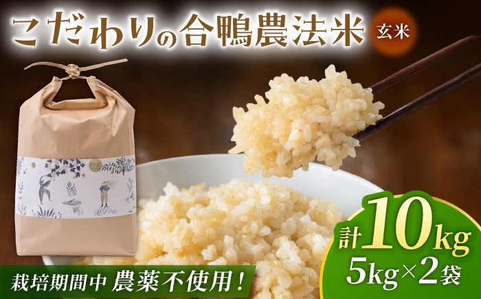 
                  〈令和7年度産米〉 合鴨農法玄米 5kg×2 計10kg 【あいがもん倶楽部】 令和7年産 [ZAR029]
                