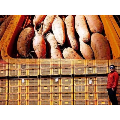 茨城県ひたちなか産 紅はるか 平干し・丸干し セット2 (平400gx2・丸400gx2)【配送不可地域：離島】