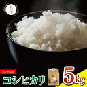 【ふるさと納税】 米 5kg 令和6年産 コシヒカリ こしひかり 精米済み 無洗米 ご飯 ごはん 白米 玄米 米5kg 5キロ こめ お米 おにぎり 産地直送 阿波市 徳島県 福井園芸