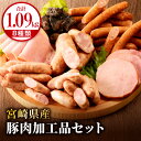 【ふるさと納税】宮崎県産豚肉加工品セット (合計1.09kg 8種類) ウインナー ウィンナー ポークフランク 帝王ウインナー ひむかウインナー ハムステーキ ロースハム 炭火焼き セット 詰め合わせ 食べ比べ 味比べ 食べ比べセット 肉加工品 贈答 贈り物 ギフト 宮崎市 送料無料