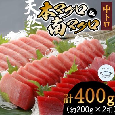 ふるさと納税 室戸市 本マグロ　南マグロ　中トロ各1柵　(計400g)　食べ比べ