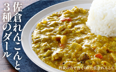 白子町の旬を味わうカレー（おまかせ６パックセット）  SHAR002