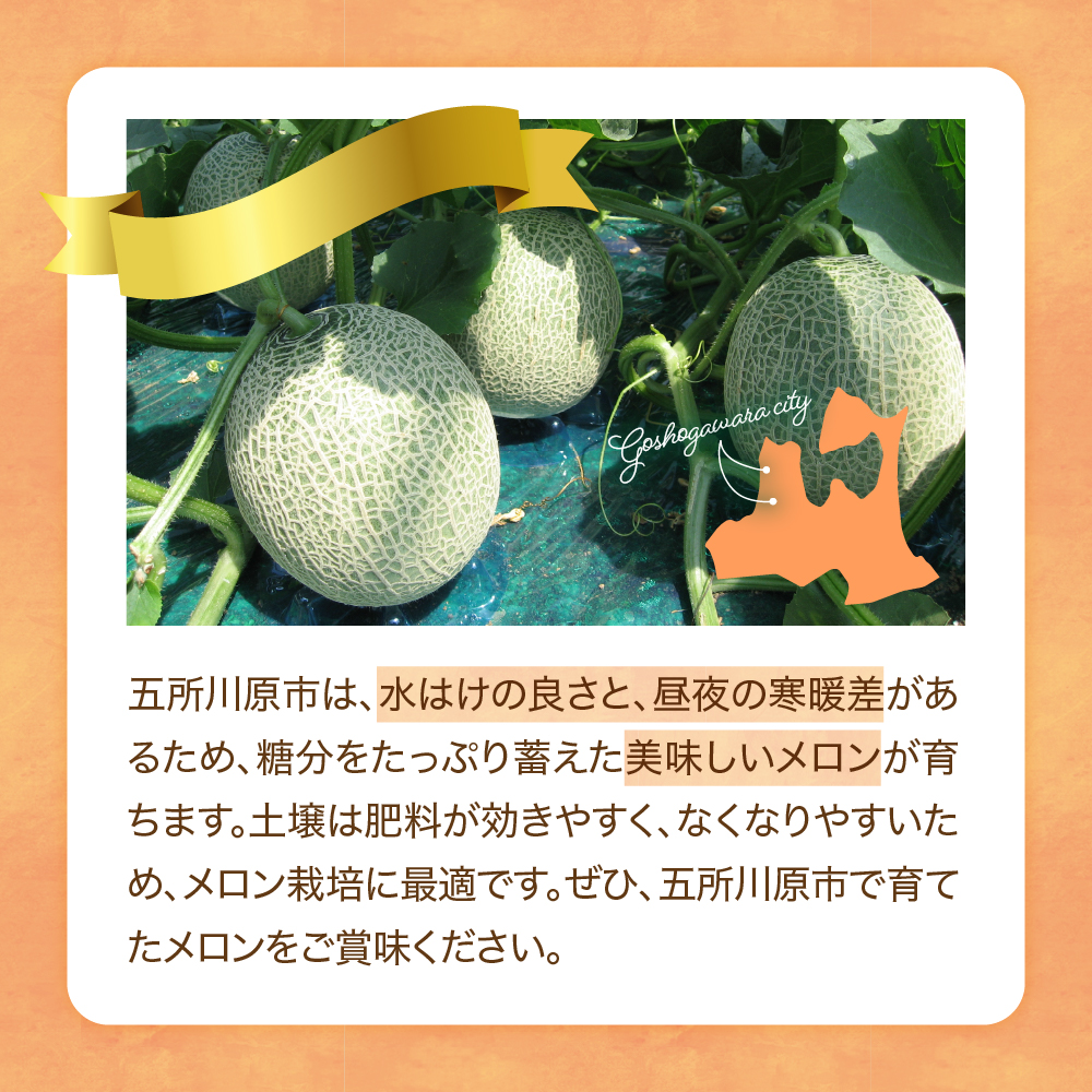 【2026年8月中旬発送】メロン2玉入り 大玉 贈答規格 青森メロン 津軽産