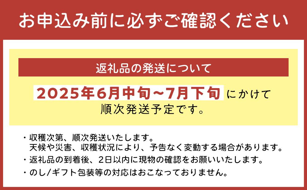 【2024年発送】＜訳あり・ご家庭用＞完熟アップルマンゴー約2kg（白箱）3玉～7玉