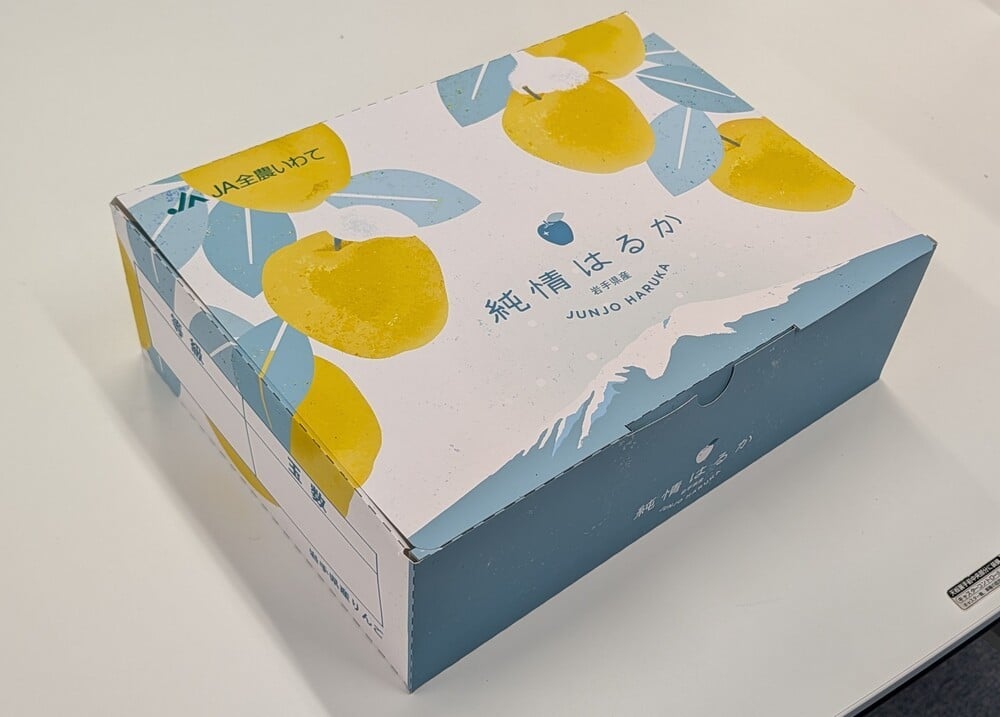 【2025年12月上旬-下旬発送予定】二戸産カシオペア　純情はるか　約2.5kg
