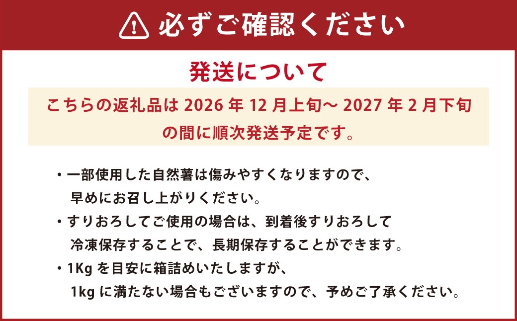 ここのえの自然薯 約1kg 山芋 ヤマイモ やまいも 芋 九重町産