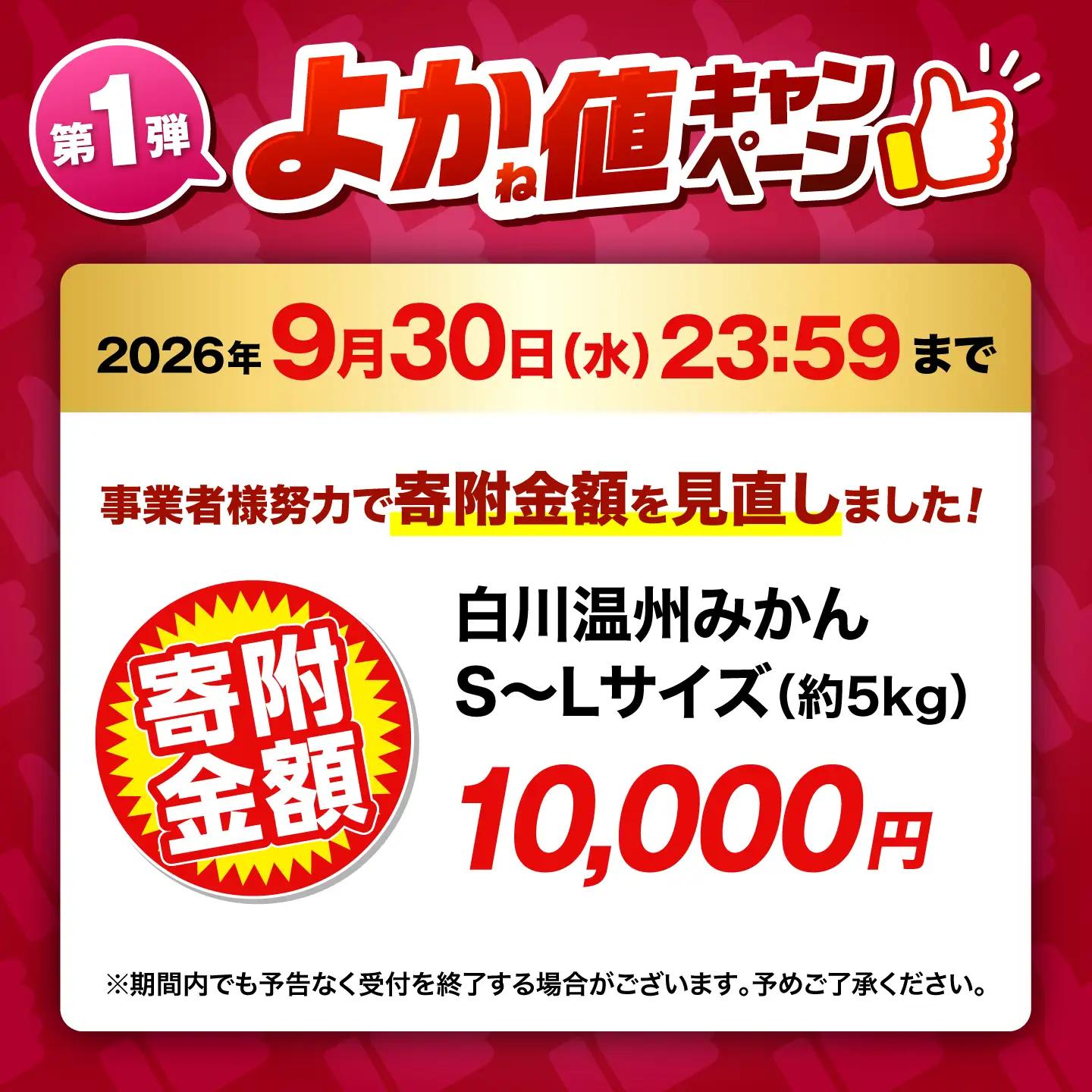 ＼生活応援よか値キャンペーン／【先行予約】 旨み凝縮！ 飛龍台木 白川 温州 みかん S〜Lサイズ 約5kg 山鹿市産　【小春農園】[ZBN009-CP]