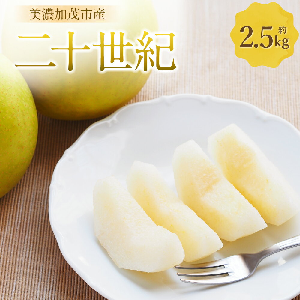 【ふるさと納税】【レビューキャンペーン対象商品】《先行予約》「山之上果実農業協同組合」山之上の梨 二十世紀 1箱 約2.5kg なし ナシ 20世紀 20世紀梨 くだもの 果物 果実 フルーツ 冷蔵 岐阜県産 国産 岐阜県 美濃加茂市 送料無料 【2025年9月上旬～10月上旬発送予定】