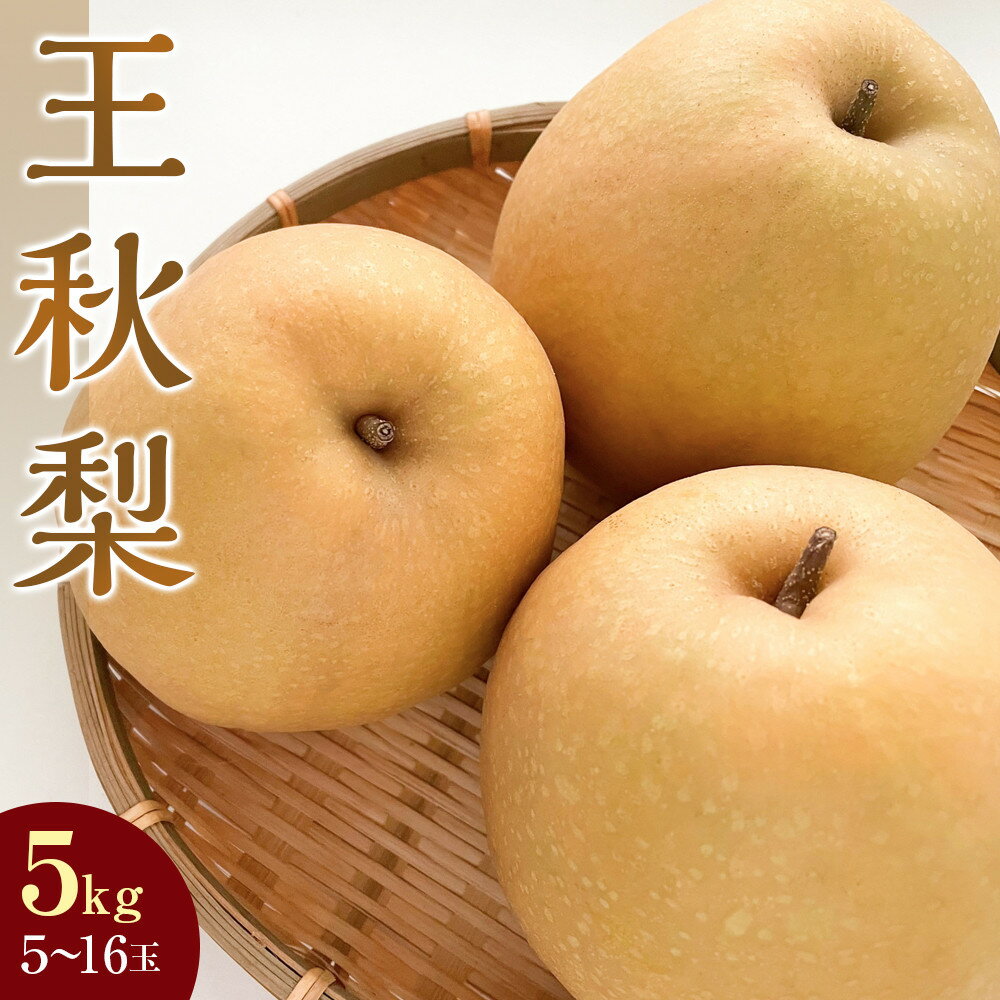 【ふるさと納税】297.【先行予約】王秋梨 5kg前後（5～16玉前後）※2025年10月下旬～12月上旬頃に順次発送予定 | 先行予約 梨 なし 果物 フルーツ くだもの 鳥取県 北栄町 おすすめ 人気 送料無料