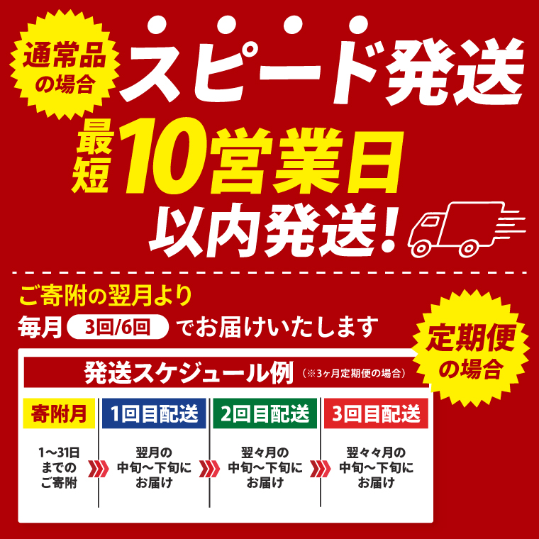 【3ヶ月定期便】カルビー 堅あげポテト うすしお味 プッチ4 60g(15g×4袋)×10個入り｜Calbee お菓子 菓子 おやつ おかし ぽてち ポテチ スナック おつまみ ジャガイモ じゃがいも