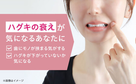 【最短7日以内発送】 GUMハグキラボ デンタルペースト 85g（メディカルハーブミント）20本 歯磨き粉 ハミガキ はみがき GUM ストック 消耗品 日用品 大容量 大阪府高槻市/サンスター[AO