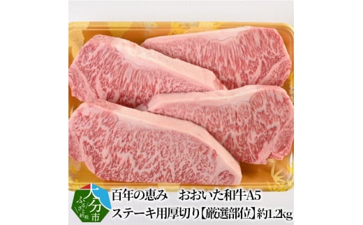 
百年の恵み　おおいた和牛A5　ステーキ用厚切り【厳選部位】約1.2kg 牛肉 和牛 ステーキ 厚切り おおいた和牛 霜降り 肉厚 ロース サーロイン 肩ロース A01105
