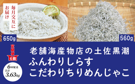 6回 定期便 土佐黒潮 ふんわり しらす 650g こだわり の ちりめんじゃこ 560g 【1カ月に1回交互にお届け】 計3.63kg 冷凍 小分け 便利 惣菜 海の幸 じゃこ 無添加 無着色 国産 魚介 海産物 シーフード お取り寄せ 25-651