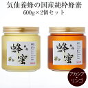 【ふるさと納税】はちみつ 国産 純粋蜂蜜 600g×2個 セット(アカシア・リンゴ)気仙養蜂