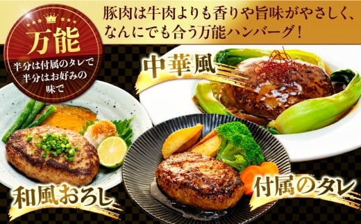 SNM012_01 【3月配送】【ソース付き】四万十ポーク入りハンバーグ 1.2kg(200g×6個) 【4月発送】1.2kg