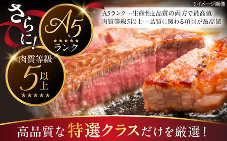 近江牛 A5 ヒレ ステーキ 120g×2[AQCS007] ヒレ