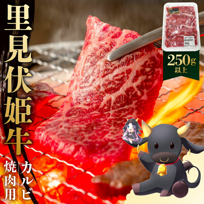 【ふるさと納税】 里見伏姫牛　カルビ焼肉用250g以上 千葉県 南房総市 肉 お肉 カルビ 焼肉用 BBQ ステーキ ハンバーグ ローストビーフ コロッケ 赤身 国産 お取り寄せ グルメ 送料無料