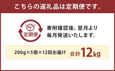 【12ヶ月定期便】黒樺牛ビーフカレー 200g×5パック