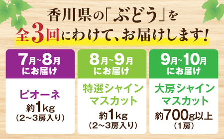ぶどう満足 3回定期便 | フルーツ定期便 ぶどう 定期便 果物 フルーツ デザート ピオーネ シャインマスカット マスカット 果肉 スイーツ 甘い 国産 贈り物 贈答 プレゼント 期便 フルーツ定期