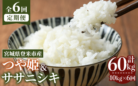 ≪令和7年産≫【6回定期便】ササニシキ・つや姫 計60kg (各5kg×6回配送) 登米市産 お米 おこめ 米 コメ 白米 ご飯 ごはん おにぎり お弁当 6か月 頒布会【登米ライスサービス株式会社】tm462
