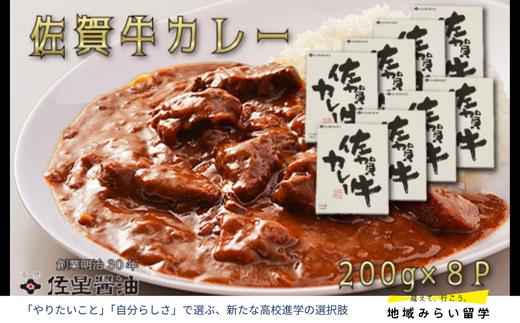 
            佐星醤油 佐賀牛カレー8個セット
          