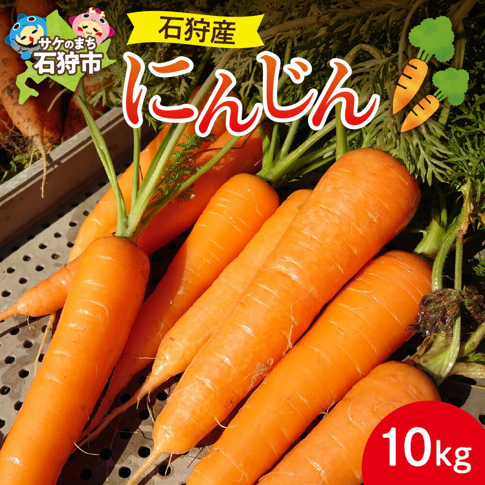 【ふるさと納税】《レビューキャンペーン》野菜 やさい にんじん　【2025年度産：8月〜11月発送】石狩産 人参10kg　北海道産 石狩市 いしかり 農産物 ニンジン キャロット 旬野菜 秋野菜 まとめ買い 一括購入 10kg 10kg 10キロ 十キロ 自宅用 自分用 旬 根菜