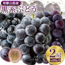 【先行予約】【ふるさと納税】和歌山県産 黒系ぶどう 品種おまかせ 約450g×2房 紀の川市厳選館 《8月上旬から9月中旬頃出荷》 和歌山県 紀の川市 フルーツ ぶどう ピオーネ 巨峰 ブラックビート 和歌山県産 送料無料