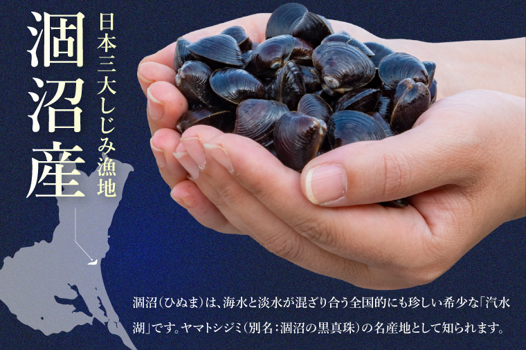 涸沼のプリップリ大粒冷凍しじみ（砂抜き済）350g×4P【国産 蜆 シジミ すなぬき クール オルニチン 小分け 味噌汁 栄養 貝汁 贈り物 ギフト 茨城県 水戸市】（BJ-5）