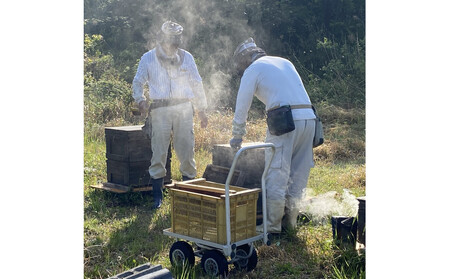 南農園　国産天然はちみつ1KG（非加熱）