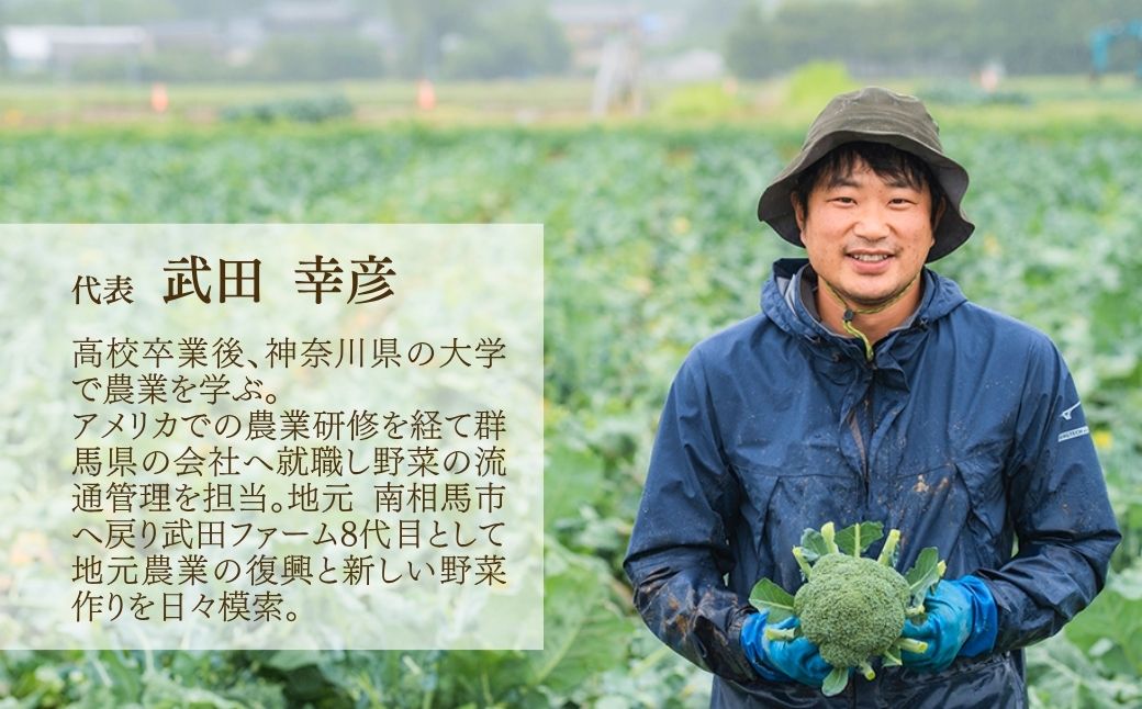 【先行予約】【定期便】にじのきらめき 玄米 15kg (5kg×3回) | 令和8年産 サムランド cu010-ac